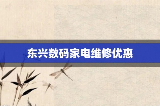 东兴数码家电维修优惠