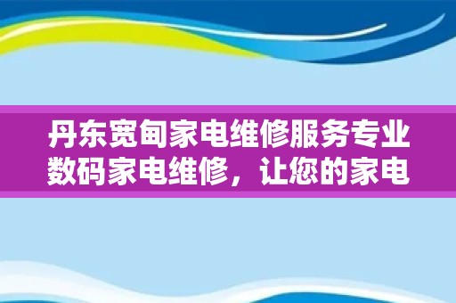 丹东宽甸家电维修服务专业数码家电维修，让您的家电焕发新生机！