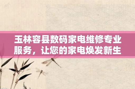 玉林容县数码家电维修专业服务，让您的家电焕发新生
