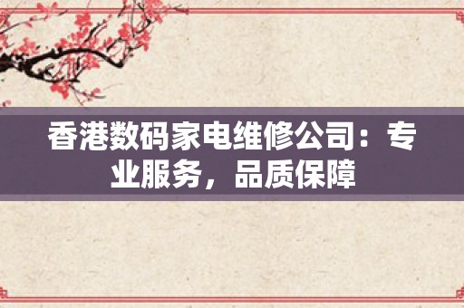 香港数码家电维修公司：专业服务，品质保障