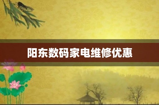 阳东数码家电维修优惠