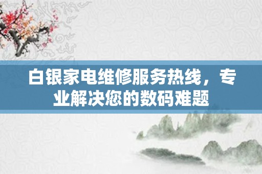 白银家电维修服务热线，专业解决您的数码难题