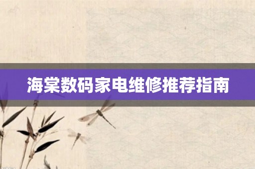 海棠数码家电维修推荐指南