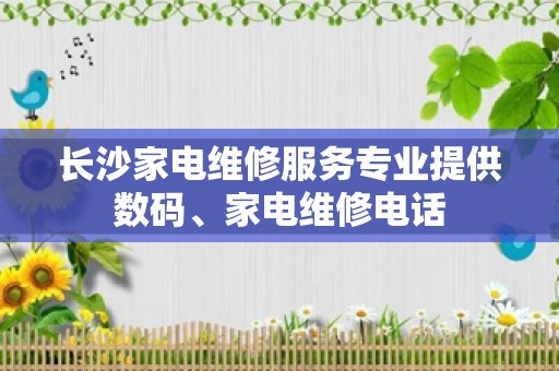 长沙家电维修服务专业提供数码、家电维修电话
