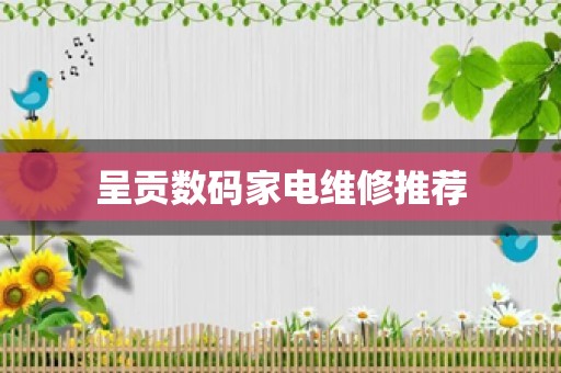 呈贡数码家电维修推荐