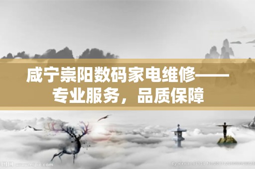 咸宁崇阳数码家电维修——专业服务，品质保障