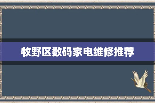 牧野区数码家电维修推荐