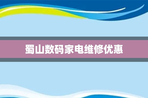 蜀山数码家电维修优惠