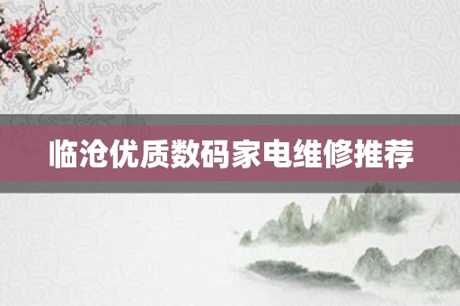 临沧优质数码家电维修推荐