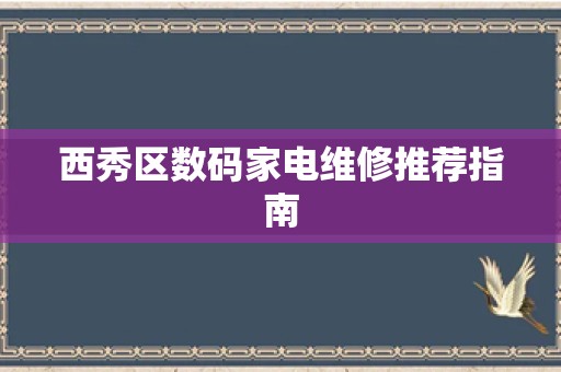 西秀区数码家电维修推荐指南