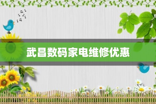 武昌数码家电维修优惠