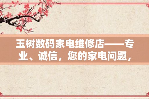 玉树数码家电维修店——专业、诚信，您的家电问题，我们全力解决！