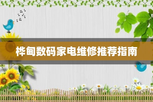桦甸数码家电维修推荐指南