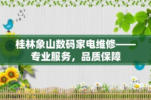 桂林象山数码家电维修——专业服务，品质保障