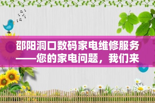 邵阳洞口数码家电维修服务——您的家电问题，我们来解决