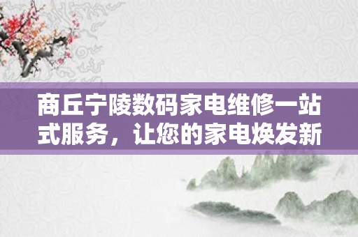商丘宁陵数码家电维修一站式服务，让您的家电焕发新生！