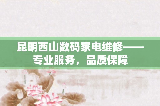 昆明西山数码家电维修——专业服务，品质保障