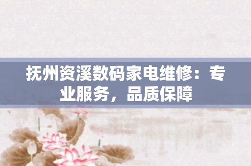 抚州资溪数码家电维修：专业服务，品质保障