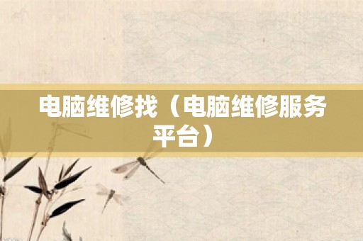 电脑维修找（电脑维修服务平台）