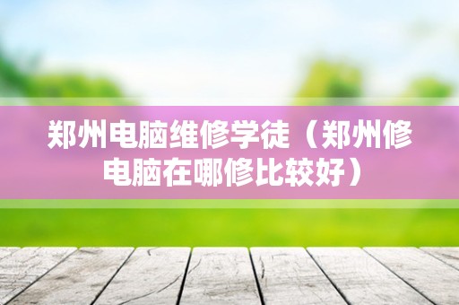 郑州电脑维修学徒（郑州修电脑在哪修比较好）
