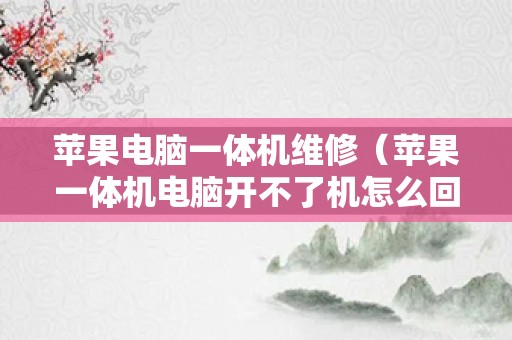 苹果电脑一体机维修（苹果一体机电脑开不了机怎么回事）