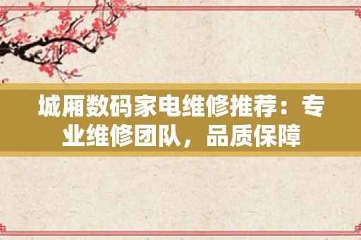 城厢数码家电维修推荐：专业维修团队，品质保障