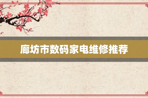 廊坊市数码家电维修推荐