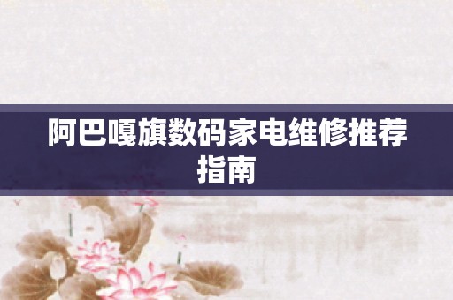 阿巴嘎旗数码家电维修推荐指南