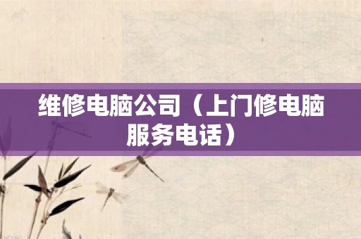 维修电脑公司（上门修电脑服务电话）