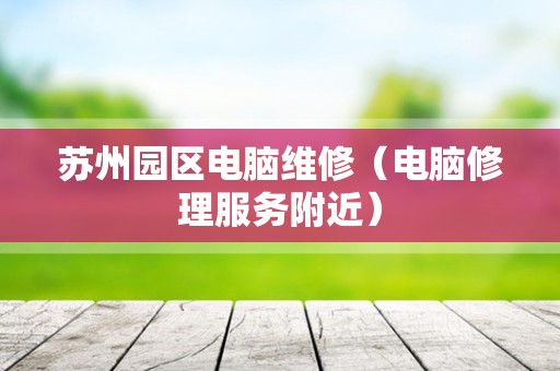 苏州园区电脑维修（电脑修理服务附近）