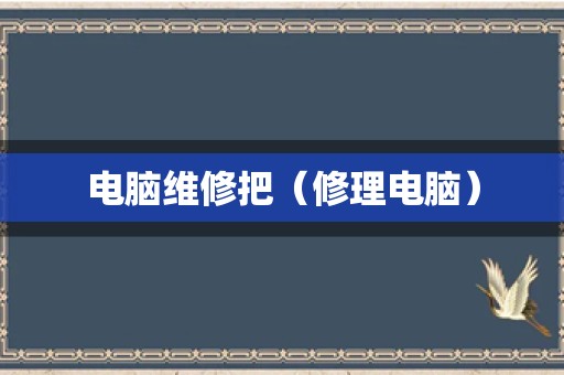 电脑维修把（修理电脑）