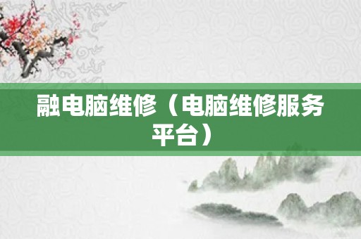 融电脑维修（电脑维修服务平台）