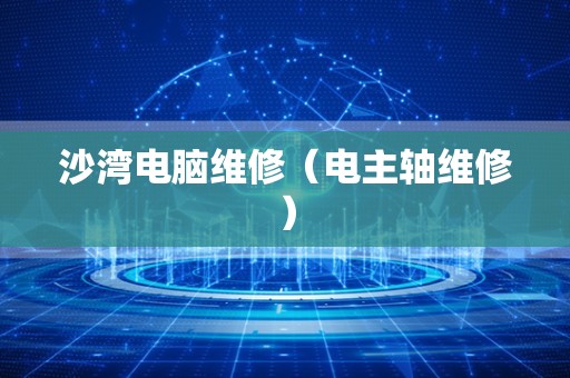 沙湾电脑维修（电主轴维修）