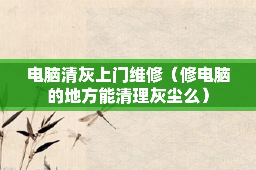 电脑清灰上门维修（修电脑的地方能清理灰尘么）