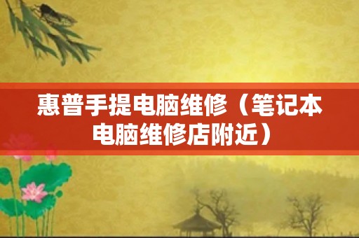 惠普手提电脑维修（笔记本电脑维修店附近）