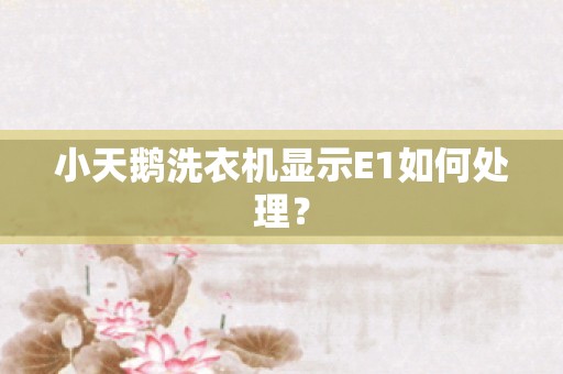 小天鹅洗衣机显示E1如何处理？