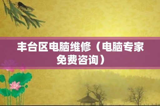 丰台区电脑维修（电脑专家免费咨询）