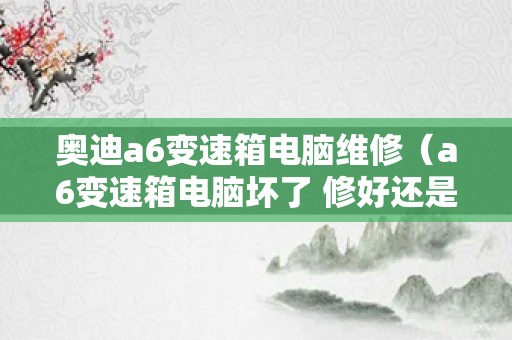 奥迪a6变速箱电脑维修（a6变速箱电脑坏了 修好还是换新的）