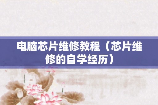 电脑芯片维修教程（芯片维修的自学经历）