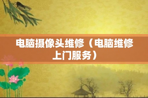 电脑摄像头维修（电脑维修上门服务）
