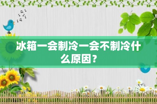 冰箱一会制冷一会不制冷什么原因？