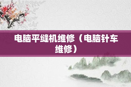 电脑平缝机维修（电脑针车维修）