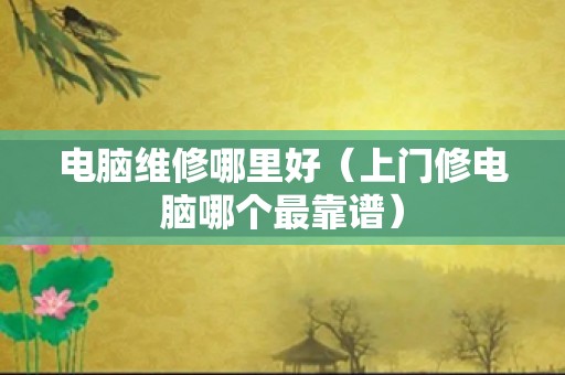 电脑维修哪里好（上门修电脑哪个最靠谱）