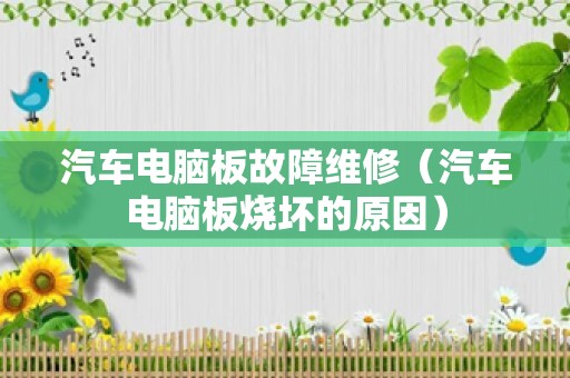 汽车电脑板故障维修（汽车电脑板烧坏的原因）
