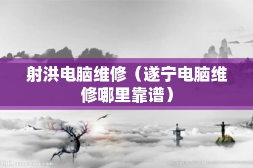 射洪电脑维修（遂宁电脑维修哪里靠谱）