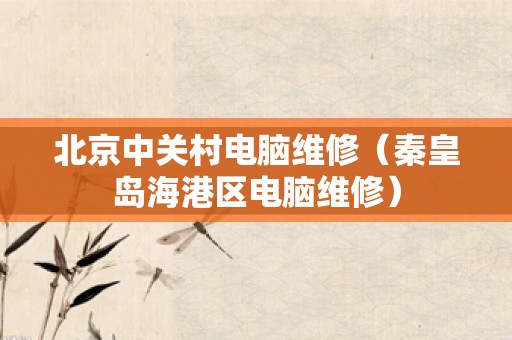 北京中关村电脑维修（秦皇岛海港区电脑维修）