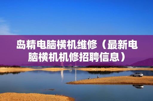 岛精电脑横机维修（最新电脑横机机修招聘信息）