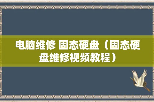 电脑维修 固态硬盘（固态硬盘维修视频教程）