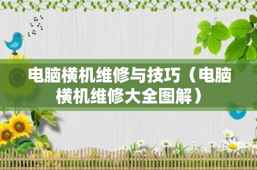 电脑横机维修与技巧（电脑横机维修大全图解）