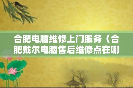 合肥电脑维修上门服务（合肥戴尔电脑售后维修点在哪）